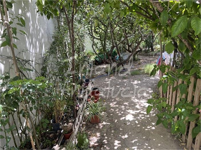 Image No.2-Land for sale