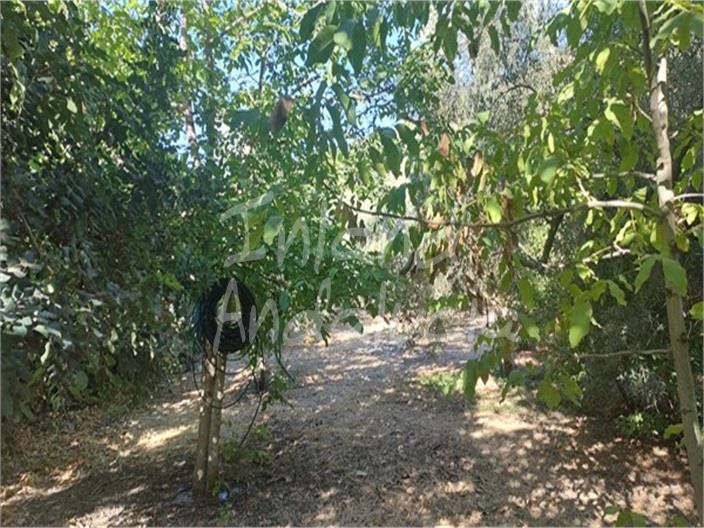 Image No.17-6 Bed Farmhouse for sale