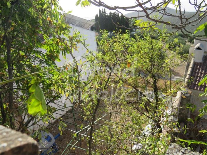 Image No.4-Land for sale