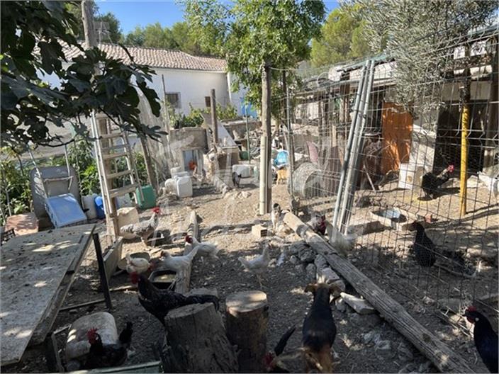 Image No.15-5 Bed House for sale