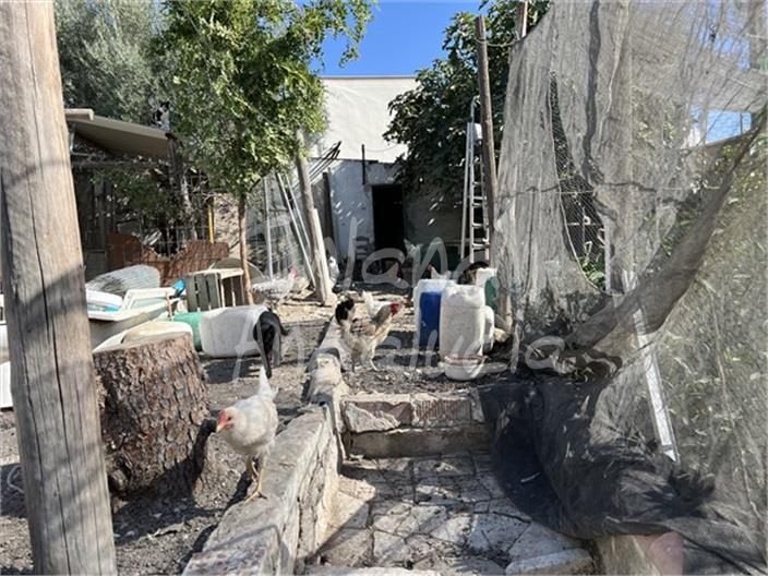 Image No.17-5 Bed House for sale