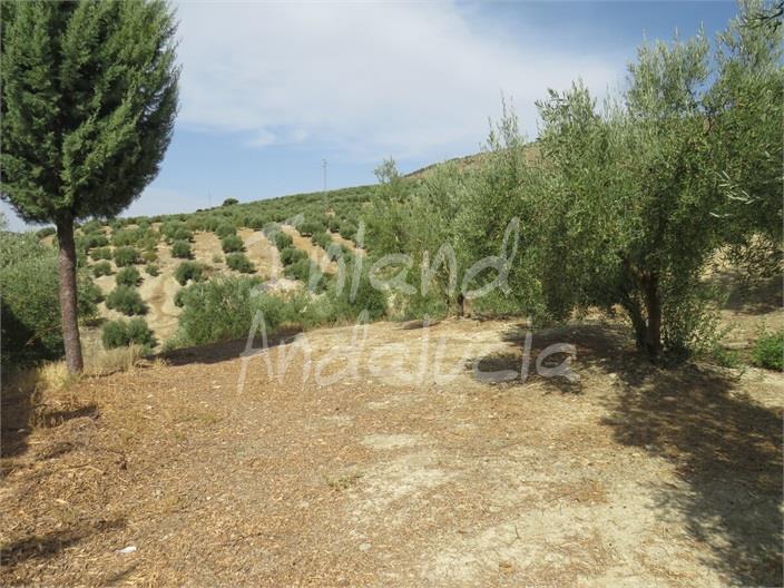 Image No.17-3 Bed Farmhouse for sale