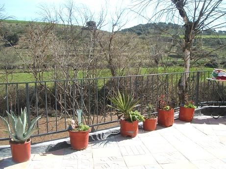 Image No.2-3 Bed Country House for sale