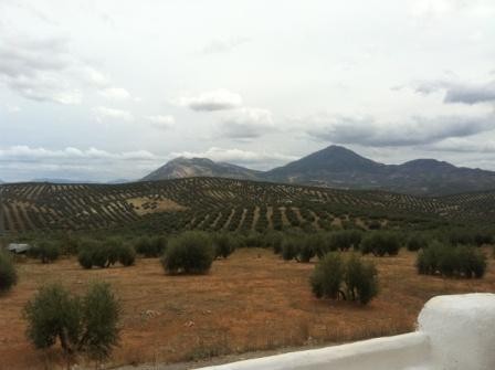 Image No.24-3 Bed Village House for sale