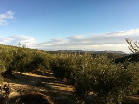 Image No.2-4 Bed Village House for sale