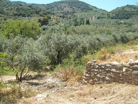 Image No.7-6 Bed Country House for sale