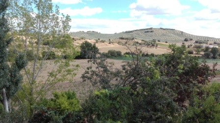 Image No.6-3 Bed Village House for sale