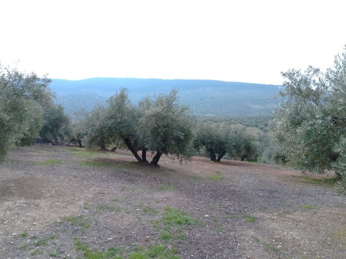 Image No.2-3 Bed Country Property for sale