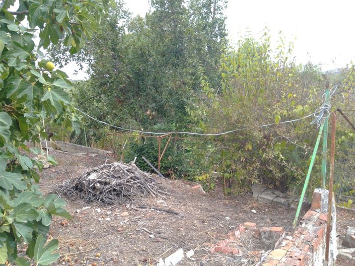 Image No.12-4 Bed Village House for sale