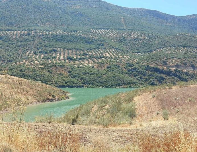 Image No.29-4 Bed Townhouse for sale