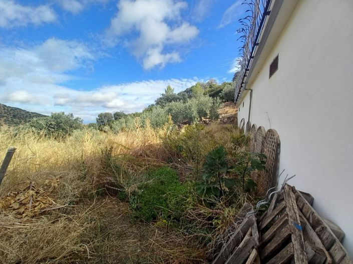 Image No.11-5 Bed Cortijo for sale