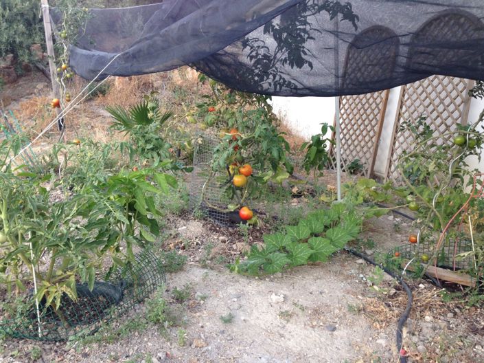 Image No.32-5 Bed Cortijo for sale