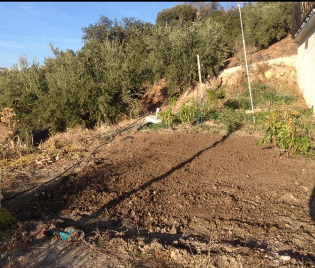 Image No.33-5 Bed Cortijo for sale