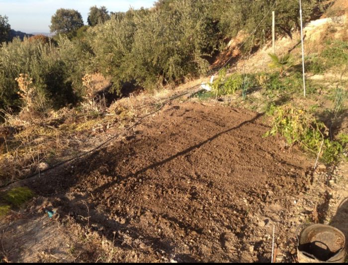 Image No.34-5 Bed Cortijo for sale