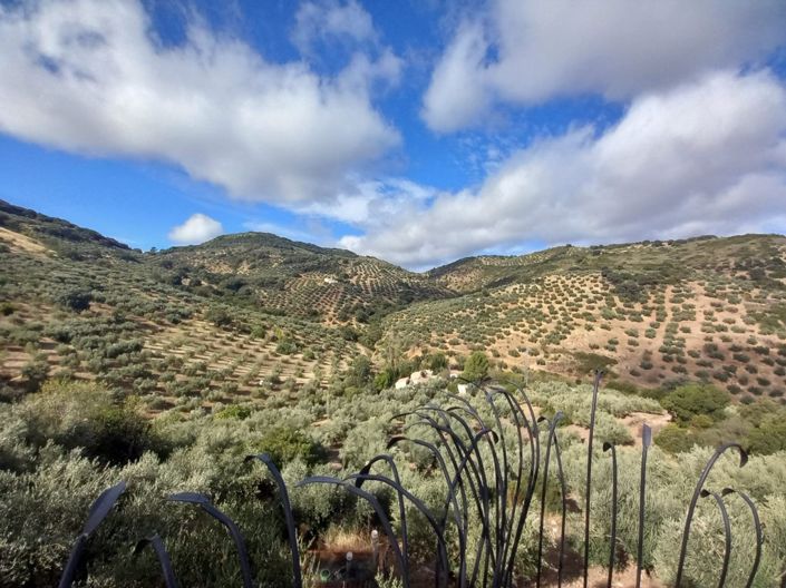 Image No.37-5 Bed Cortijo for sale