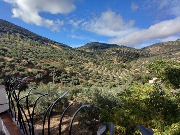 Image No.38-5 Bed Cortijo for sale