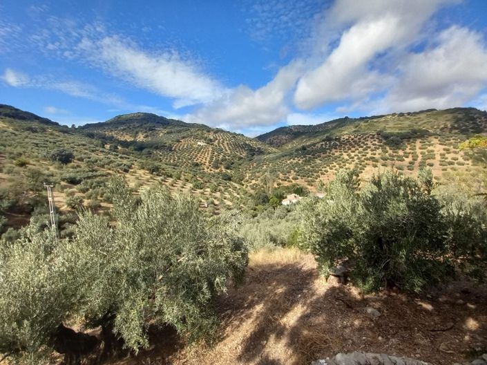 Image No.39-5 Bed Cortijo for sale