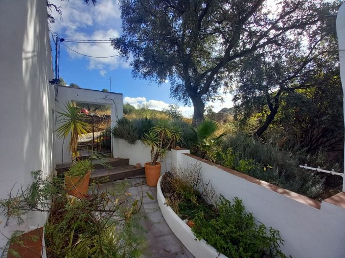 Image No.9-5 Bed Cortijo for sale