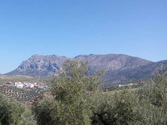 Image No.14-2 Bed Townhouse for sale