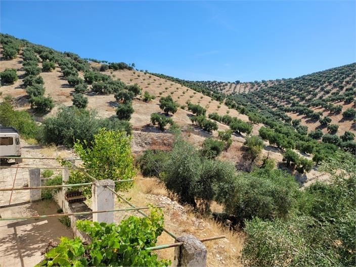 Image No.20-5 Bed Cortijo for sale