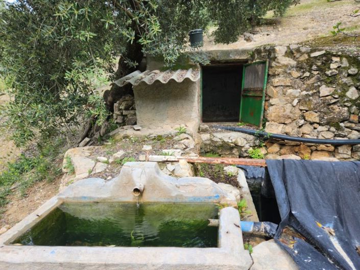 Image No.5-5 Bed Cortijo for sale