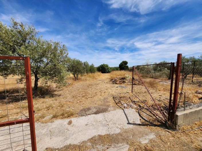 Image No.12-3 Bed Chalet for sale