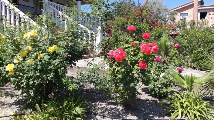 Image No.12-5 Bed Villa for sale