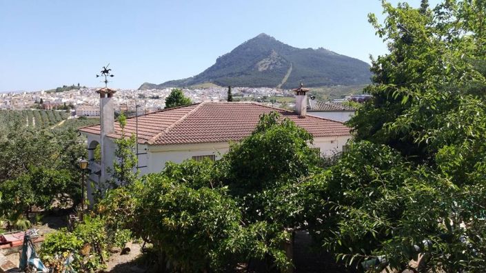 Image No.7-5 Bed Villa for sale