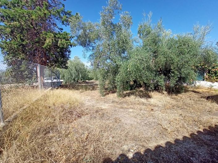 Image No.14-2 Bed Cortijo for sale