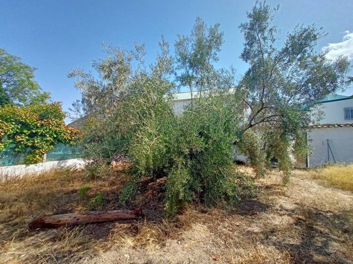 Image No.15-2 Bed Cortijo for sale