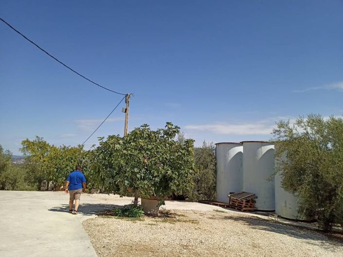Image No.18-2 Bed Cortijo for sale