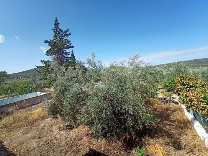 Image No.9-2 Bed Cortijo for sale