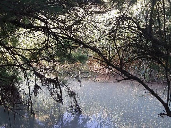 Image No.11-5 Bed Chalet for sale