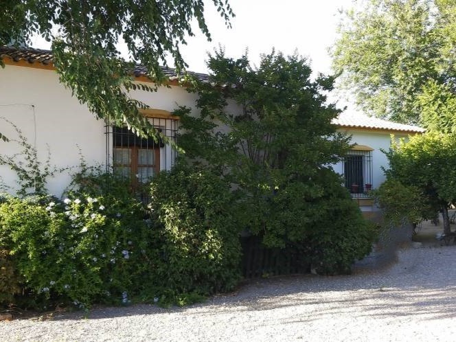 Image No.7-5 Bed Chalet for sale