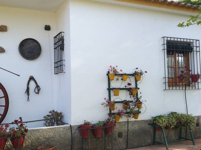 Image No.9-5 Bed Chalet for sale