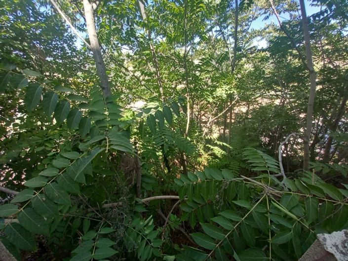 Image No.42-3 Bed Townhouse for sale