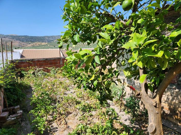 Image No.20-4 Bed Townhouse for sale