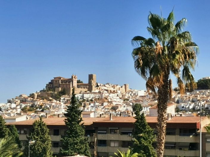 Image No.39-3 Bed Townhouse for sale