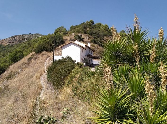 Image No.4-3 Bed Cortijo for sale