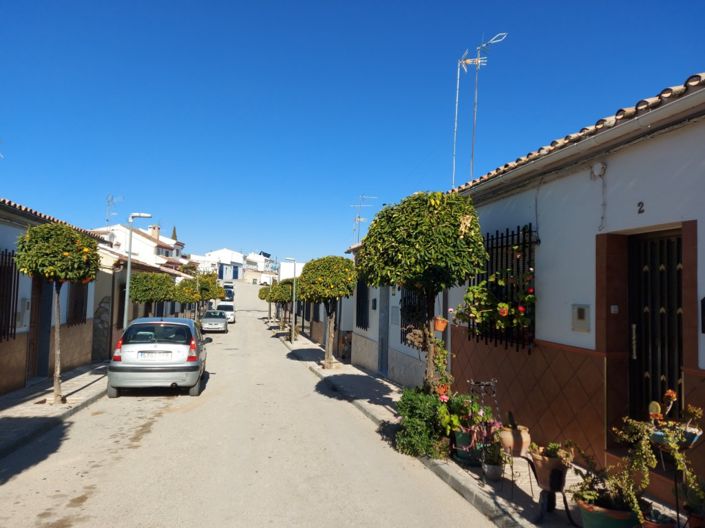 Image No.43-3 Bed Bungalow for sale