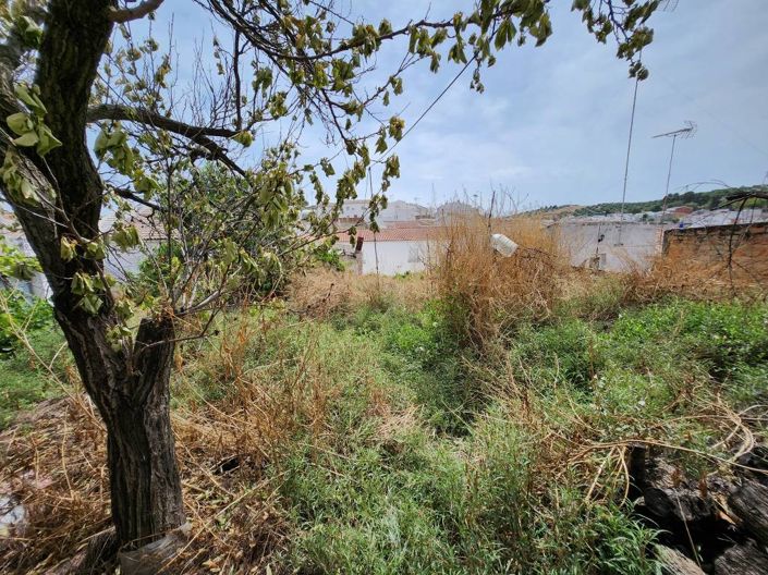 Image No.21-5 Bed Townhouse for sale