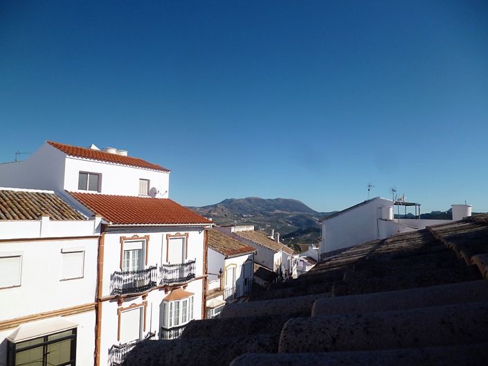 Image No.30-4 Bed Mansion for sale