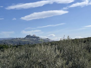 1 - Olvera, Finca