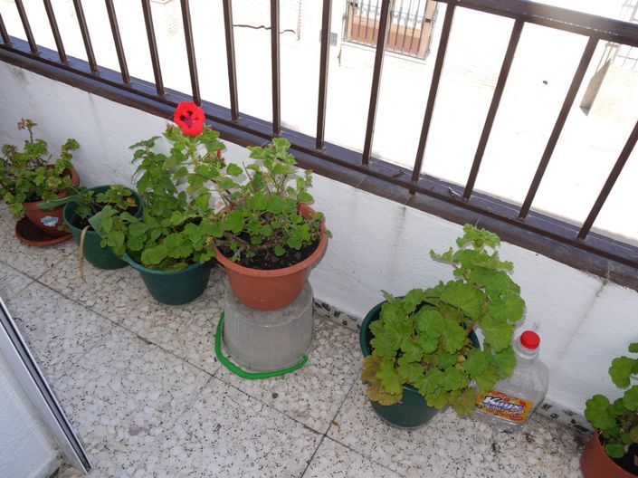 Image No.9-3 Bed Property for sale