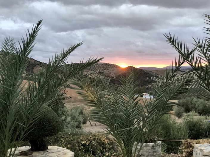 Image No.5-3 Bed Villa for sale