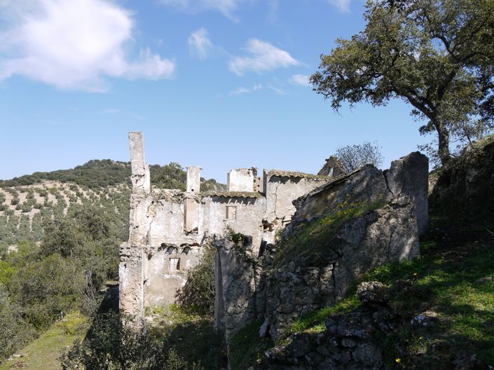 Image No.20-Land for sale