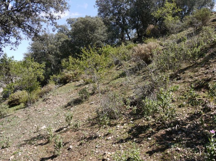 Image No.21-Land for sale