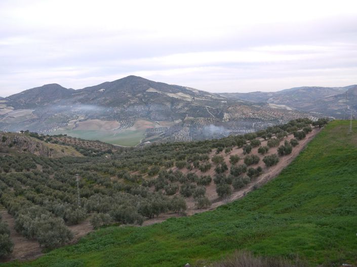 Image No.22-6 Bed Townhouse for sale