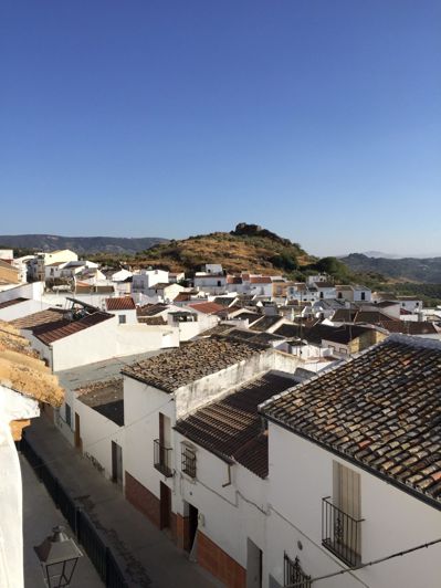 Image No.2-Plot for sale