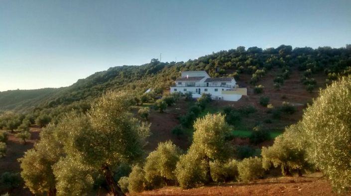 Image No.1-6 Bed Property for sale